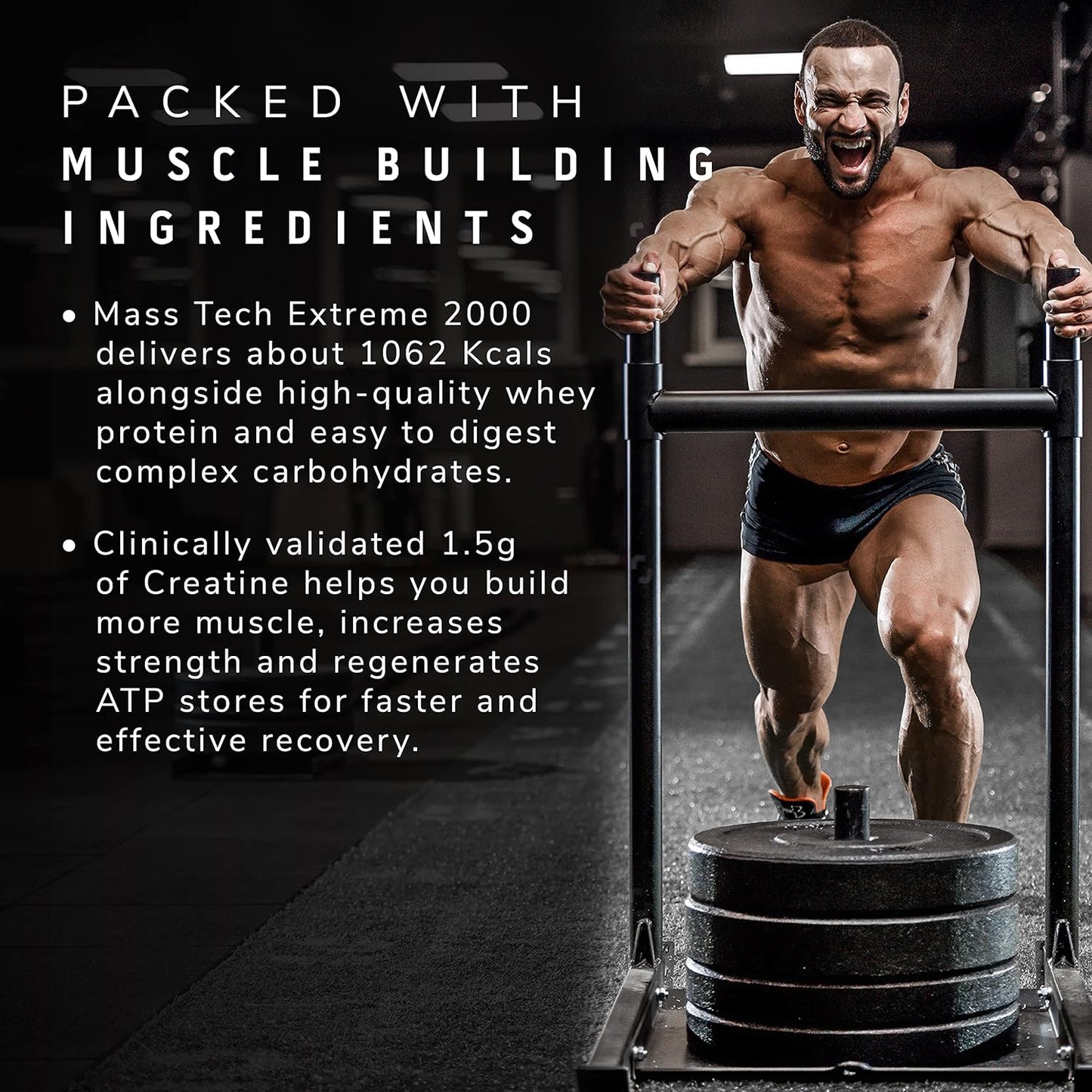 MuscleTech Veg Mass Gainer-Triple Chocolate Browmnie 3Kg - MassTech Extreme 2000 High Protein Food For Weight Gainer (30g Protein, 1062 Kcal,1.5g Creatine & Added Vitamin,Minerals) | Product Expiry - Dec/2026