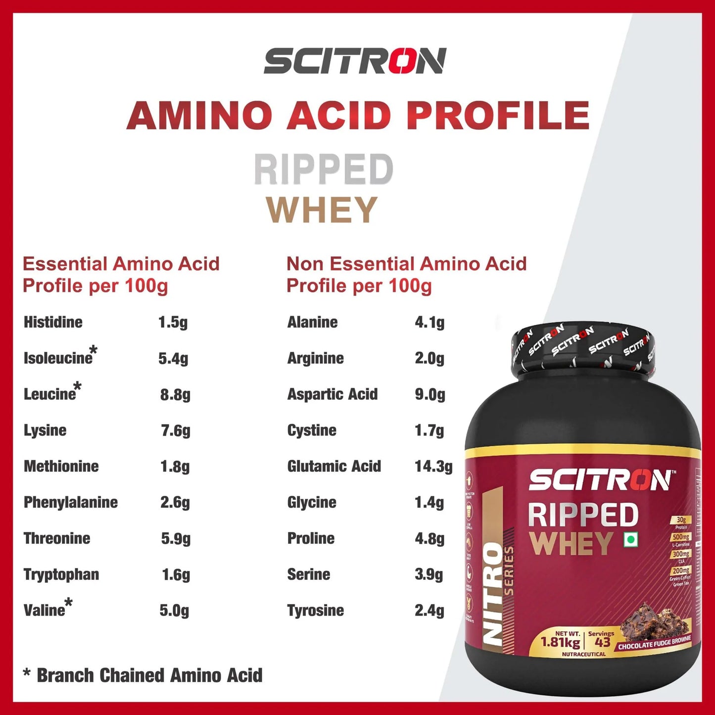 Scitron Ripped Whey Protein Powder 1.81 Kg- Chocolate Fudge Brownie| (30g Protein, 500mg L-Carnitine, 300mg CLA) | Weight Loss | Free Delivery | Product Expiry - 15/05/26